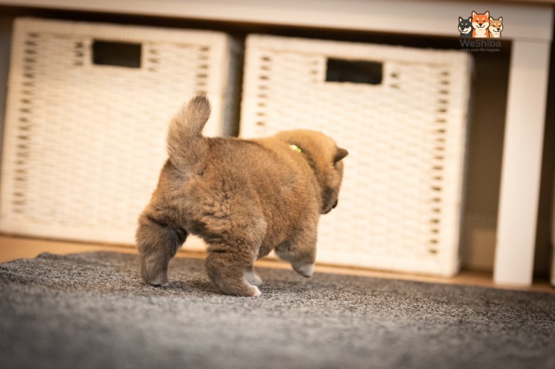 Photo of Akito