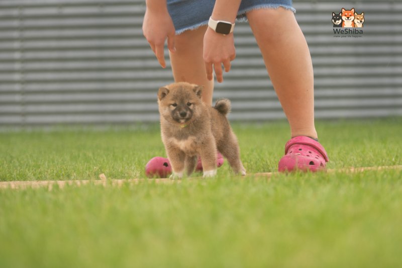 Photo of Akito