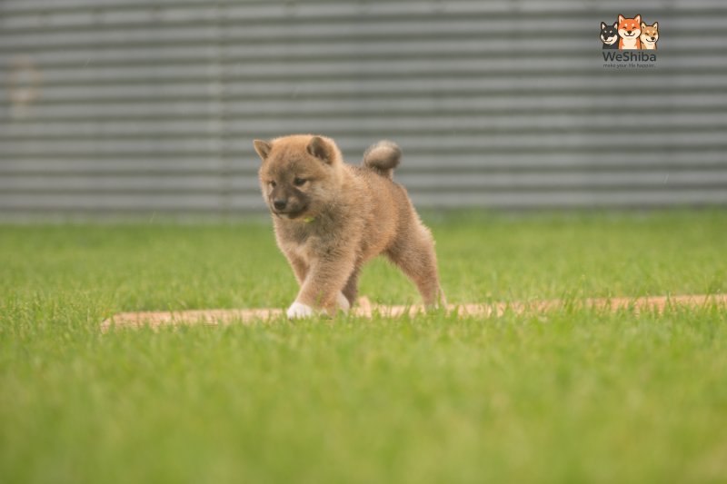 Photo of Akito