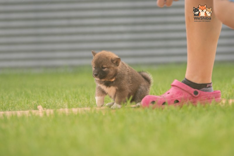 Photo of Arya