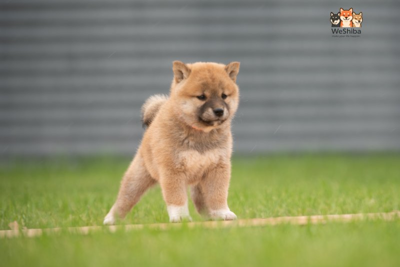Photo of Ayumi