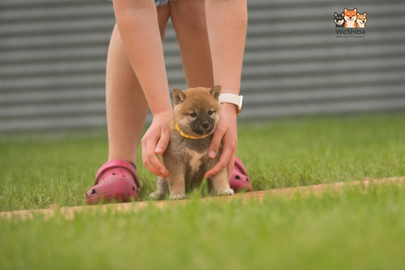 Photo of Azumi