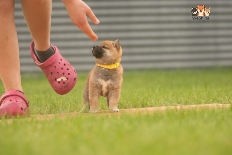 Photo of Azumi