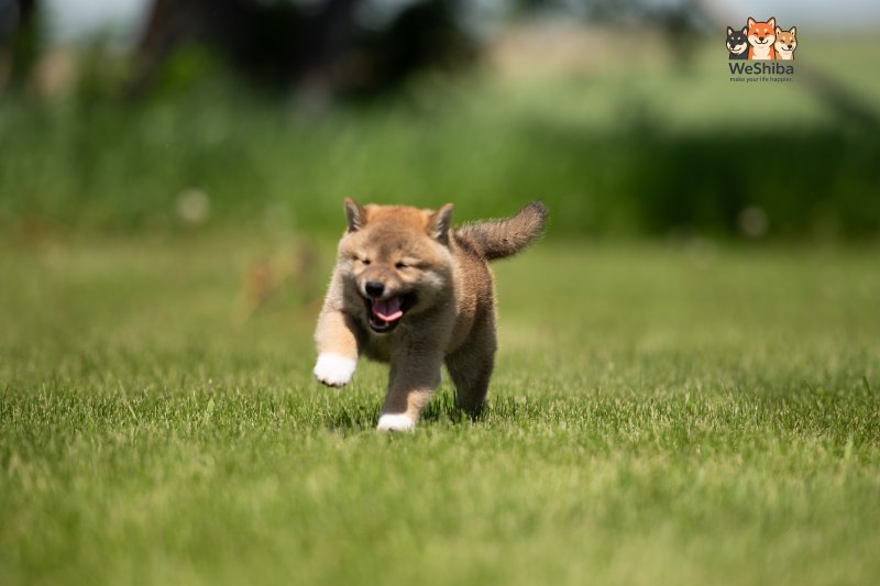 Photo of Akito