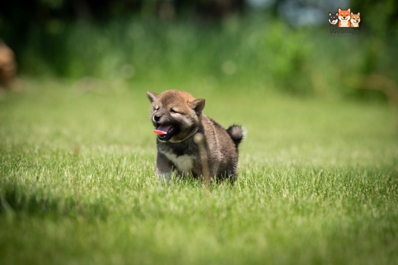 Photo of Arya