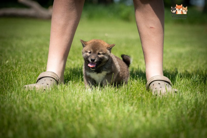 Photo of Arya