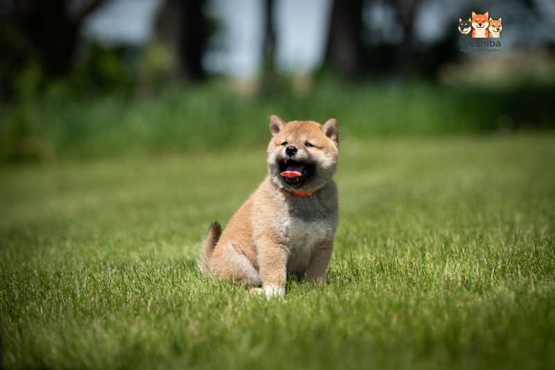 Photo of Ayumi