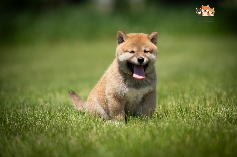 Photo of Ayumi