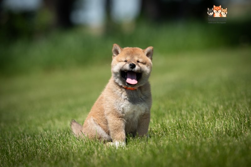 Photo of Ayumi