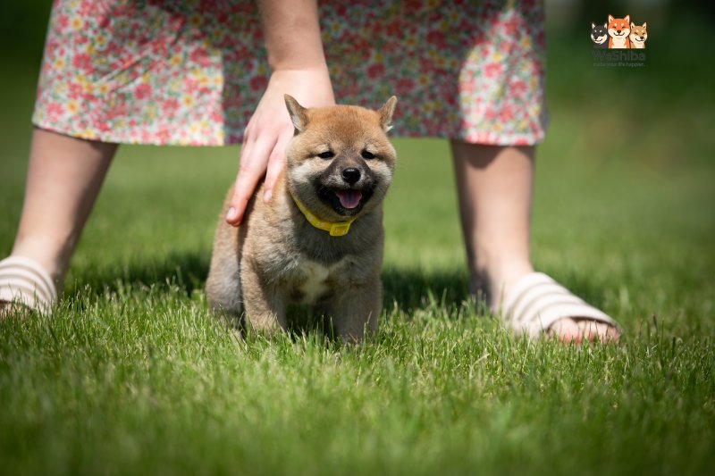 Photo of Azumi