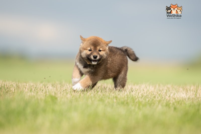 Photo of Arya