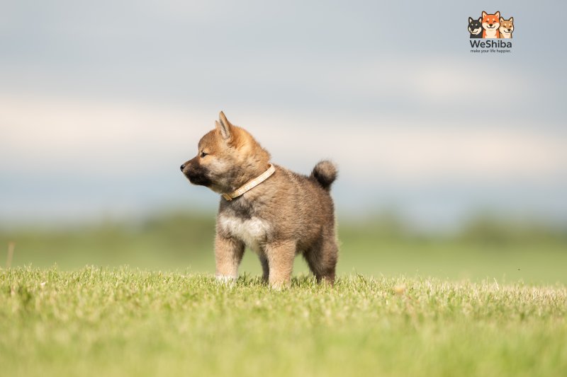 Photo of Arya