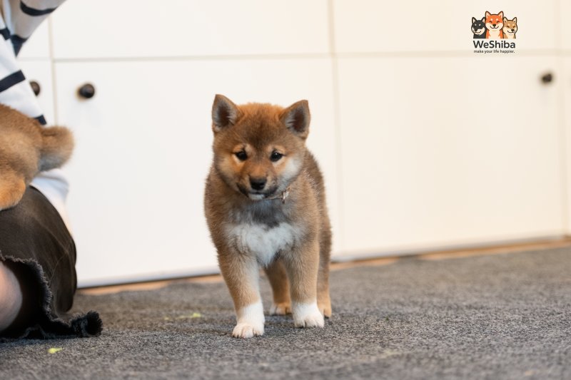 Photo of Arya
