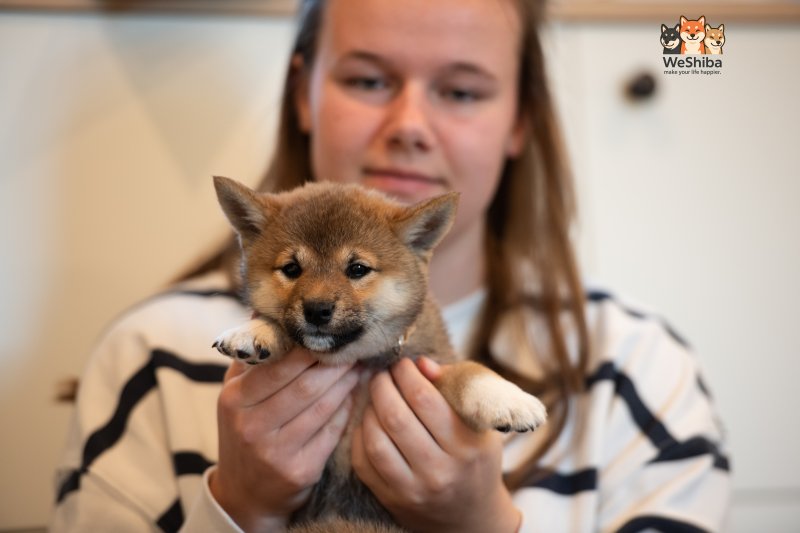 Photo of Arya