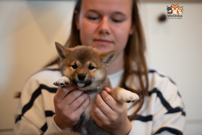 Photo of Arya
