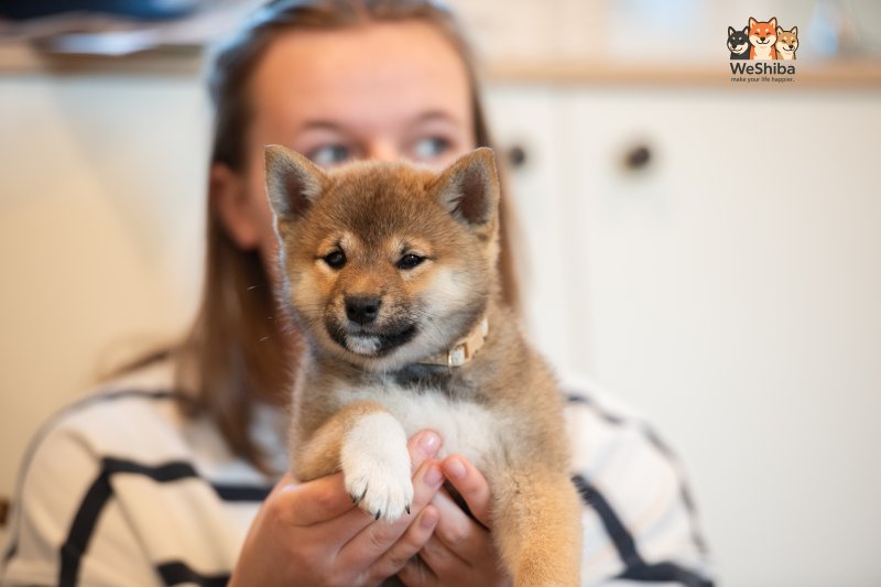 Photo of Arya