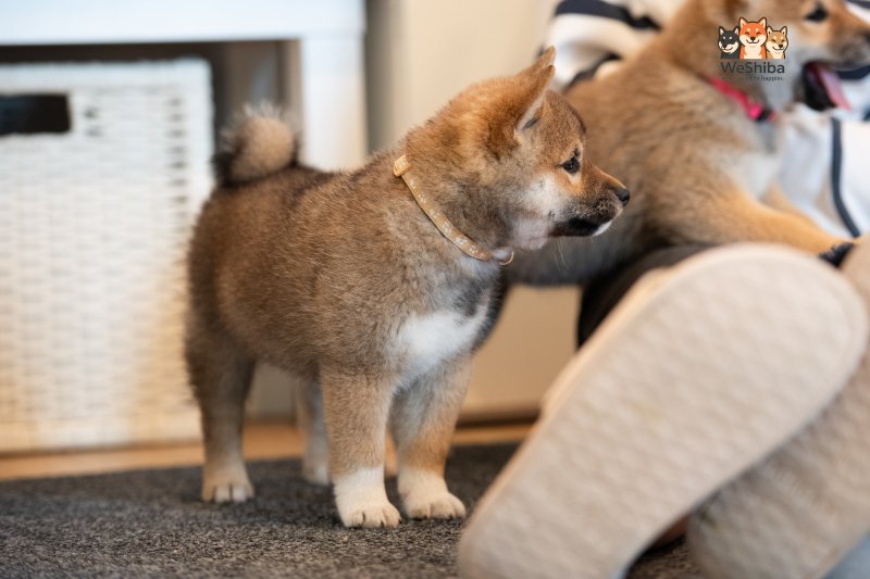 Photo of Arya