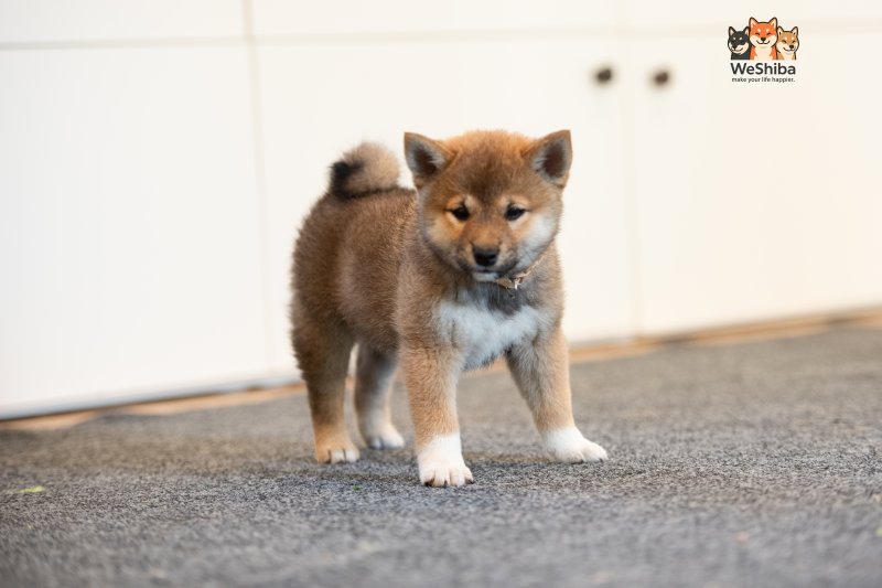 Photo of Arya