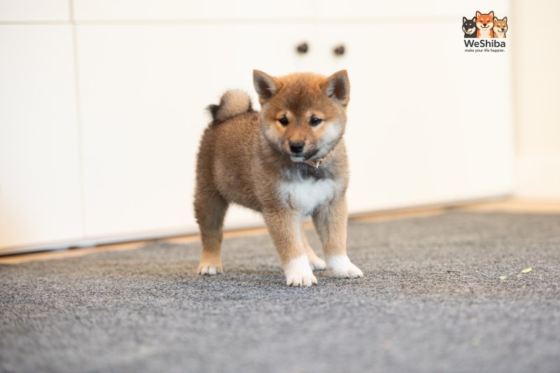 Photo of Arya