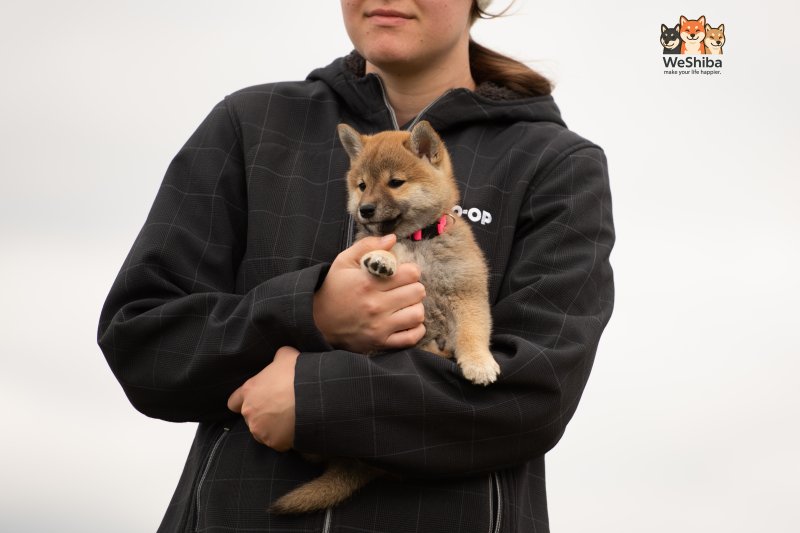 Photo of Aika