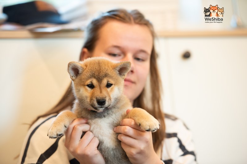 Photo of Aika