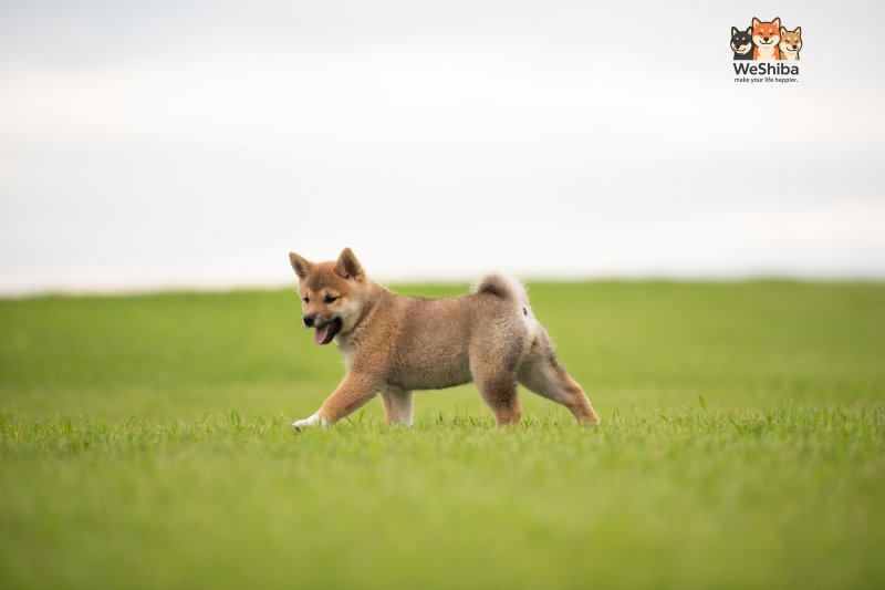 Photo of Arya