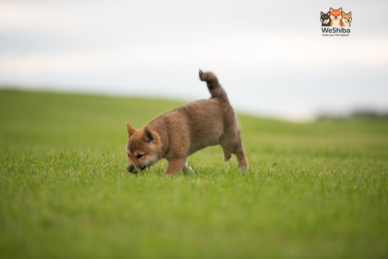 Photo of Arya